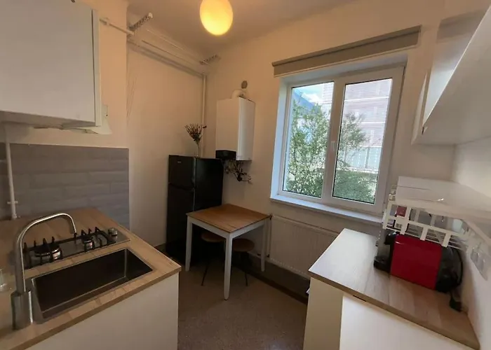 Sunflower Apartment Cluj-Napoca