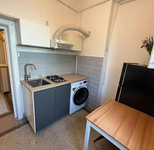 Sunflower Apartment Cluj-Napoca